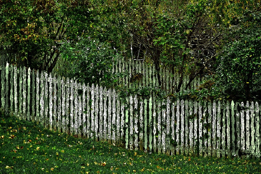 Fences 1
