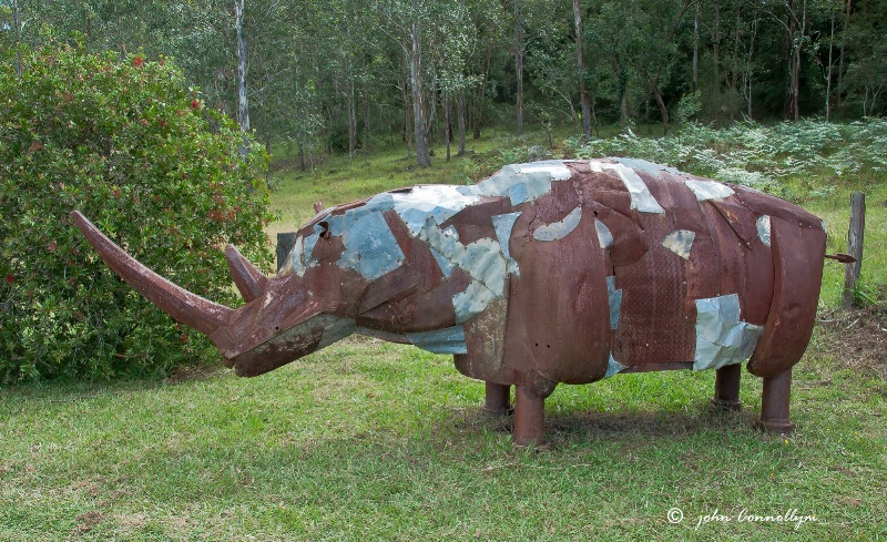 Russel the Rhino