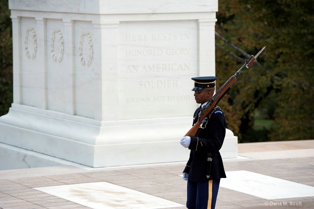 Arlington National Cemetery - ID: 15108465 © Dana M. Scott