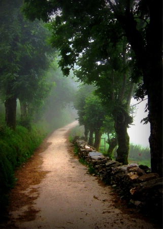 Misty Pathway