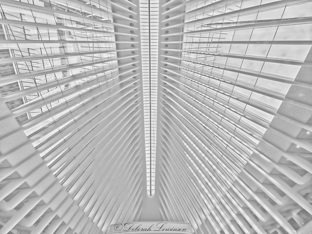 Transit Hub Ceiling