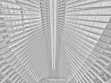 Transit Hub Ceiling