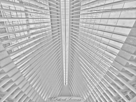 Transit Hub Ceiling