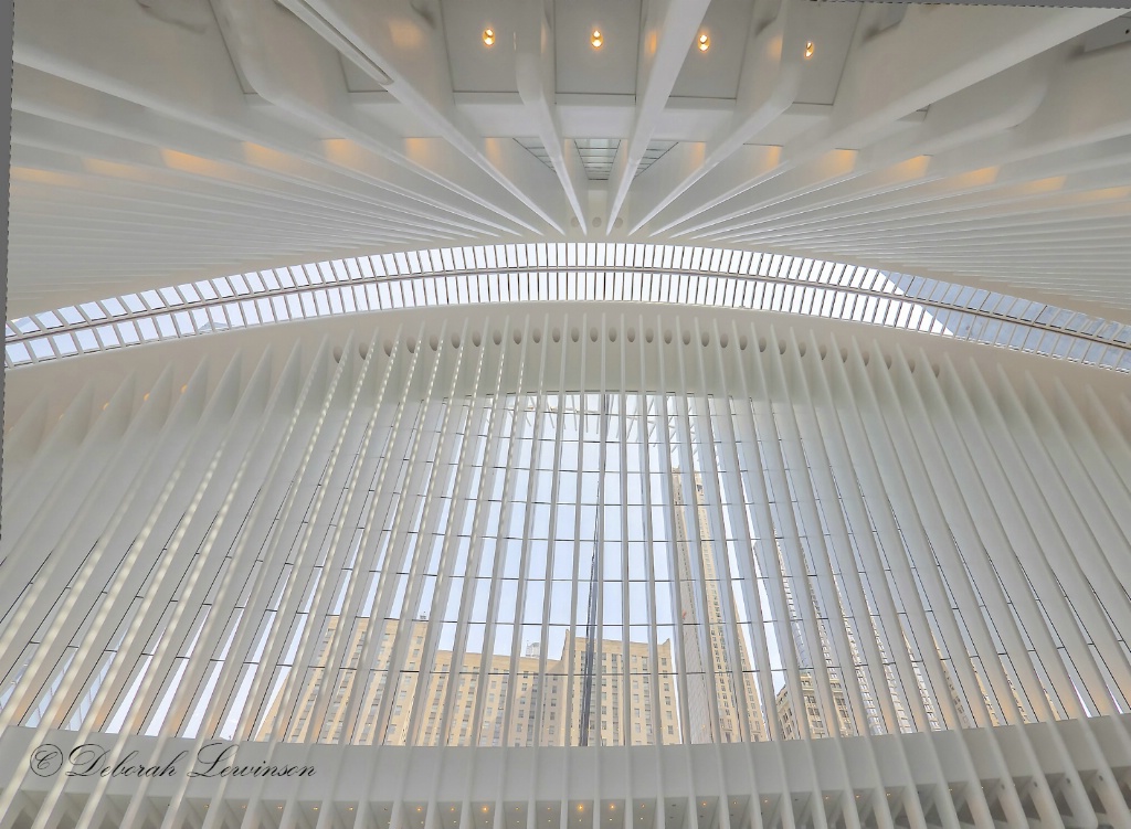 Inside the Transit Hub