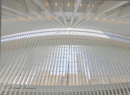 Inside the Transit Hub