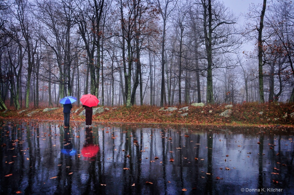 Rainy Day Friends