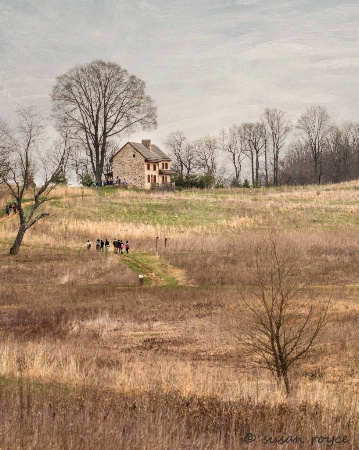 A Day at the Farm