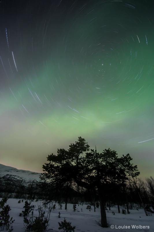 Aurora Over the Northern Star - ID: 15109901 © Louise Wolbers