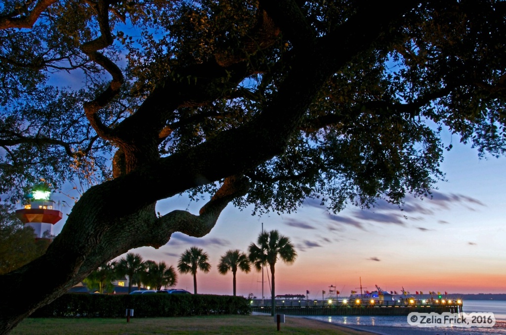 A Beacon of Light at Hilton Head Island - ID: 15110360 © Zelia F. Frick