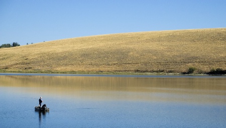 Lone Fly Fisherman 