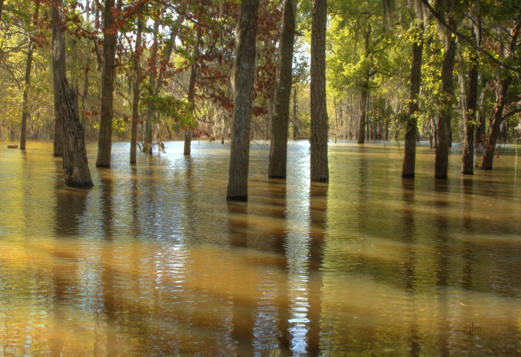 Spring's Flood