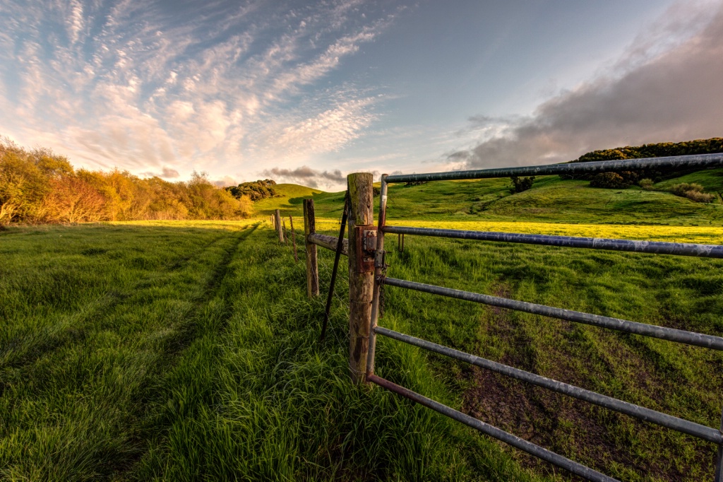 By the Fence