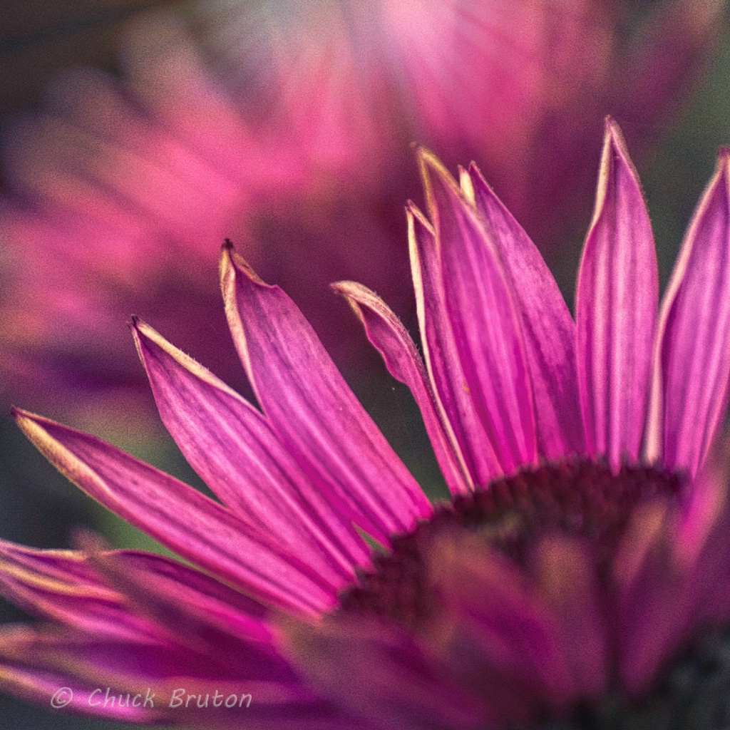 Glowing purple cone 