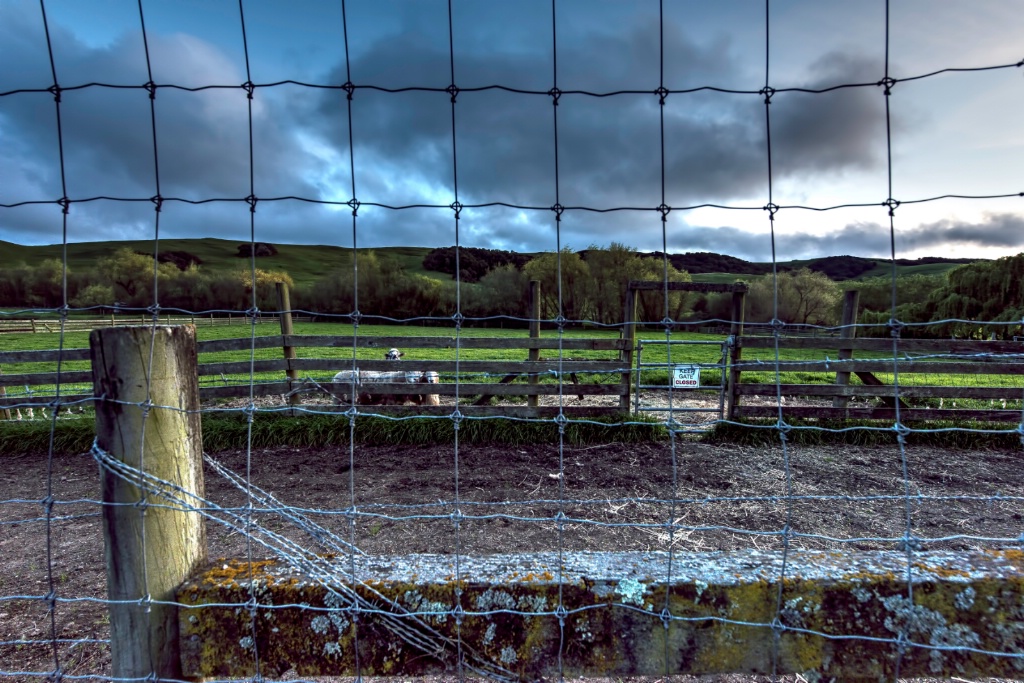 Fenced Clouds