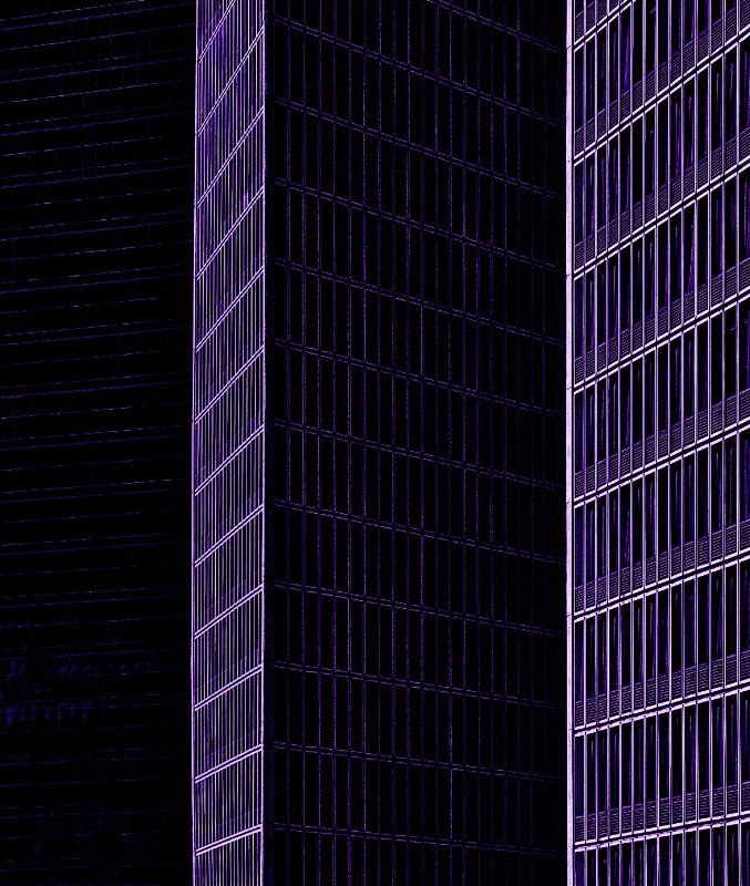 St Louis in Purple