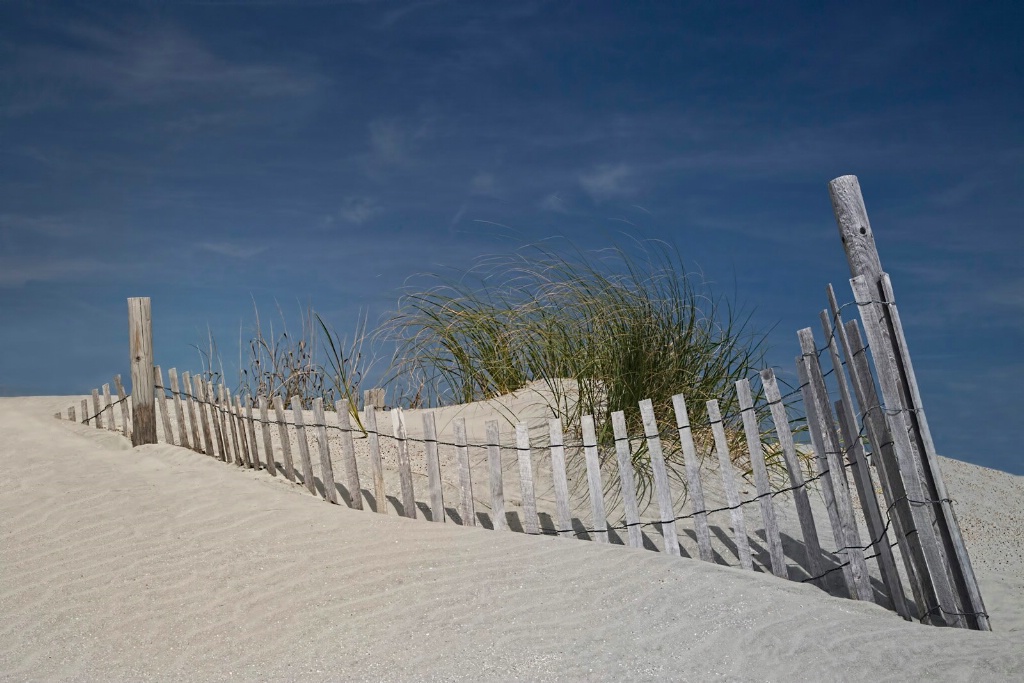 Along the Sand Dunes 