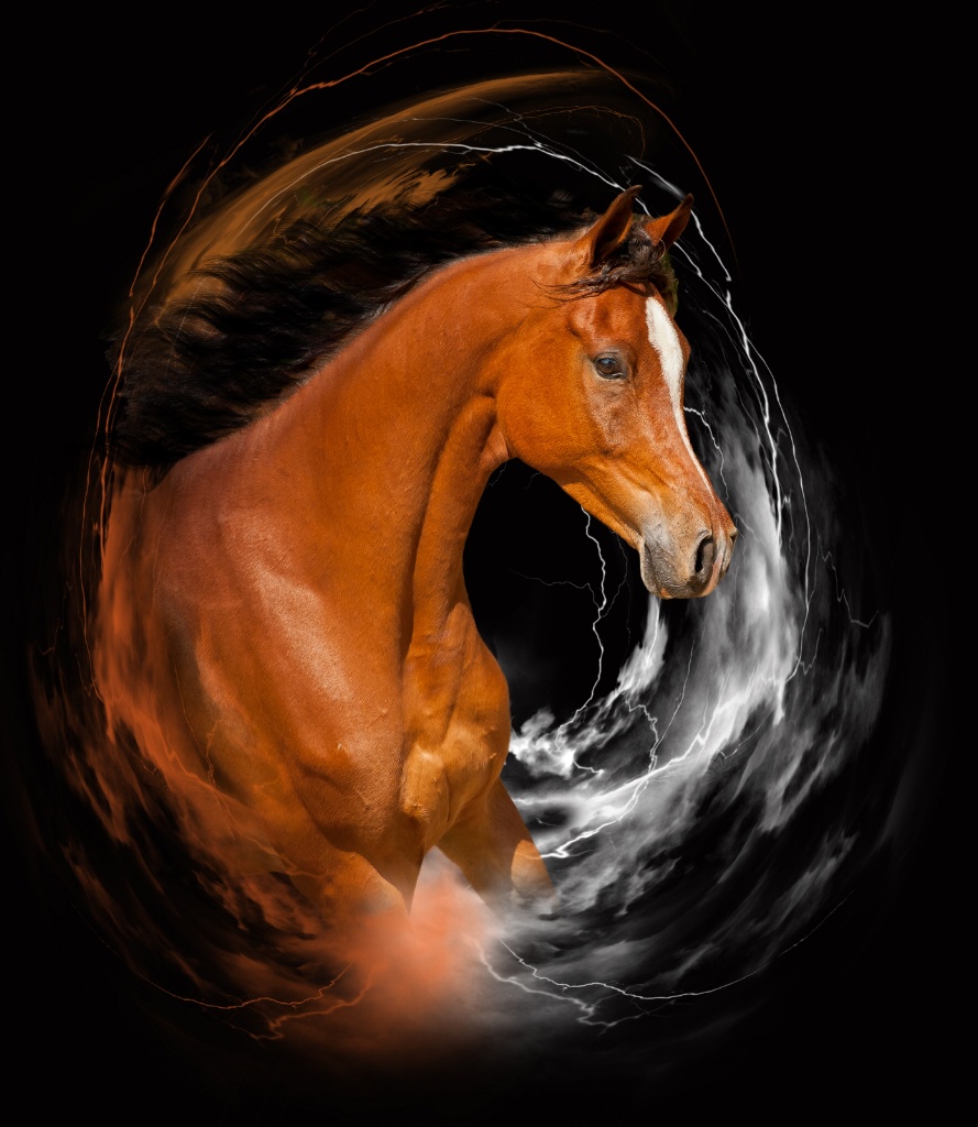 Horse edit