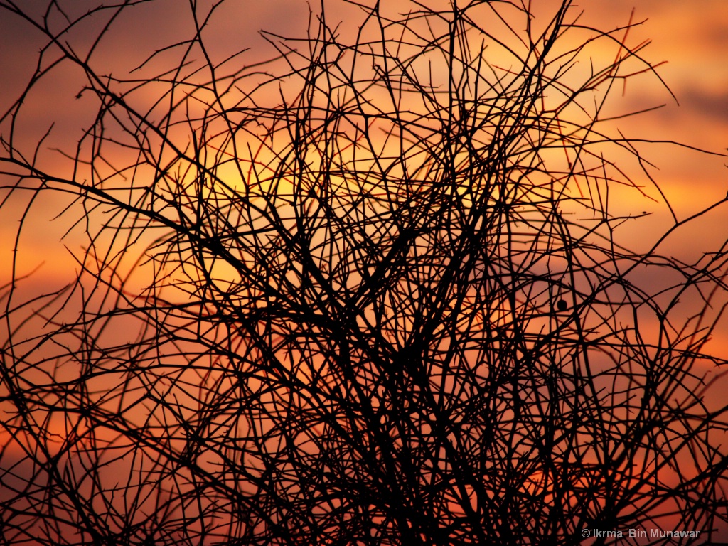 Sun Set, Pakistan