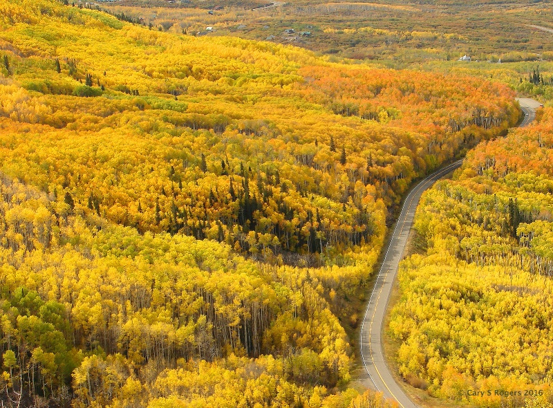 Autumn on the Mesa