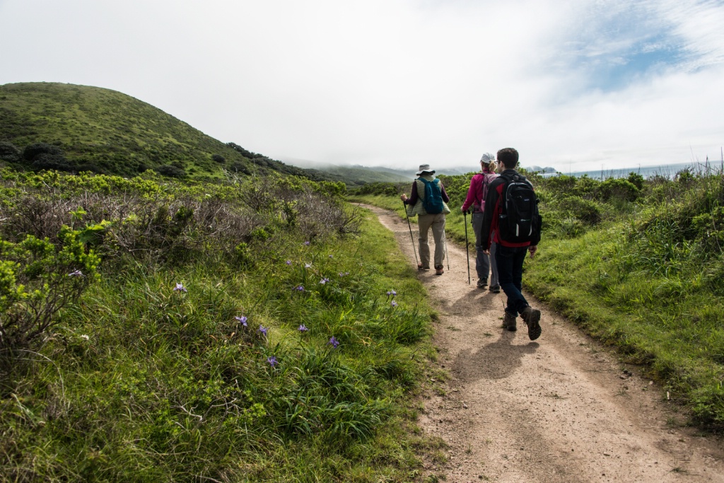 The Hikers I