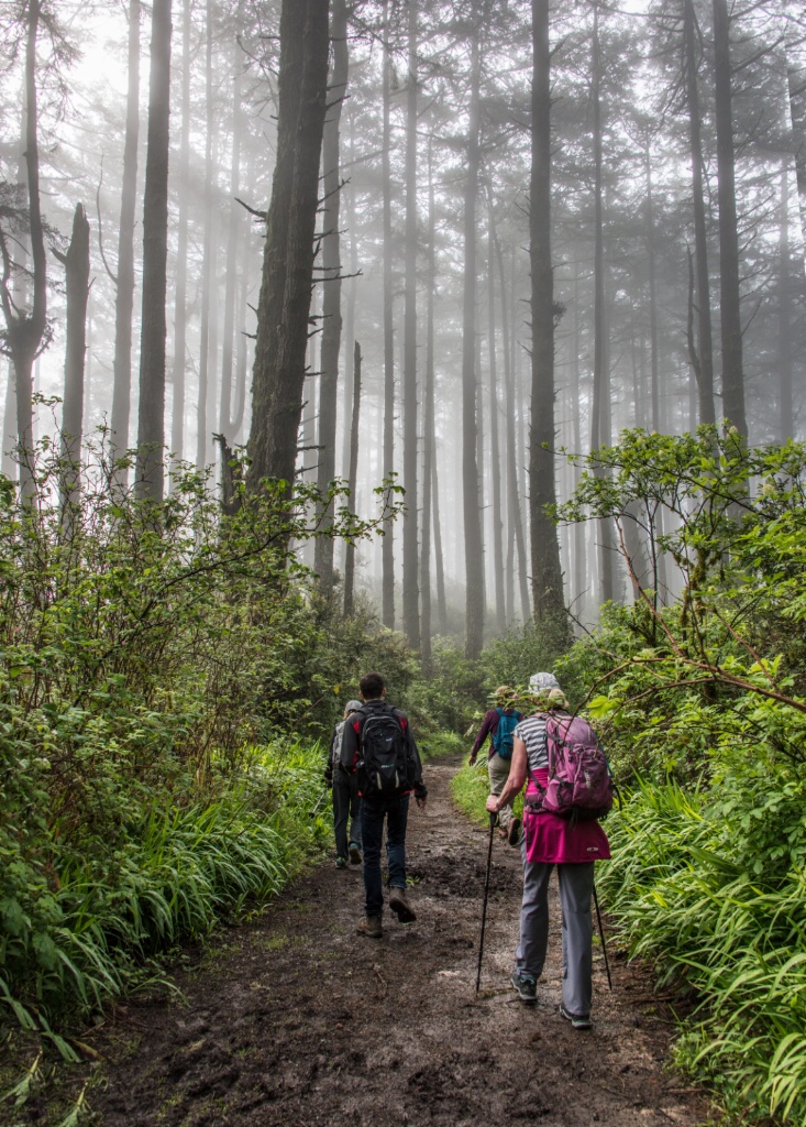 the Hikers II