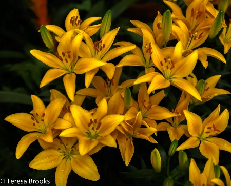 A natural bouquet