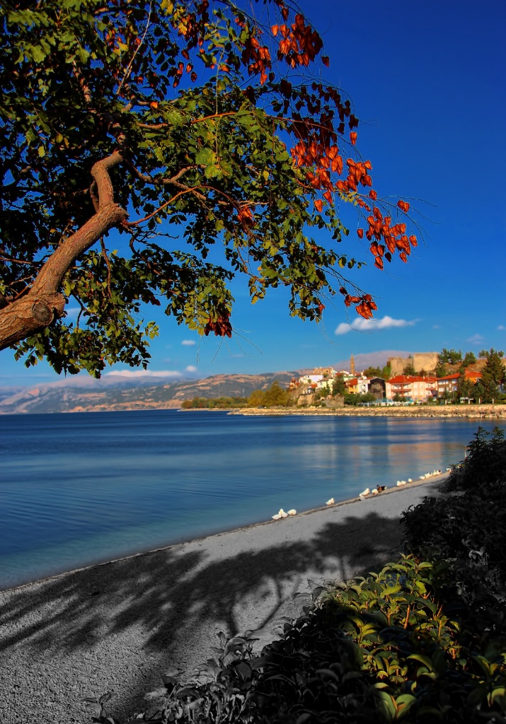 Turkish Coastline