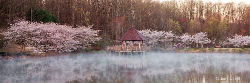 Cherry trees and gazebo