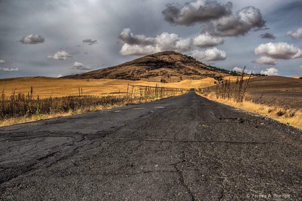The Road to Steptoe