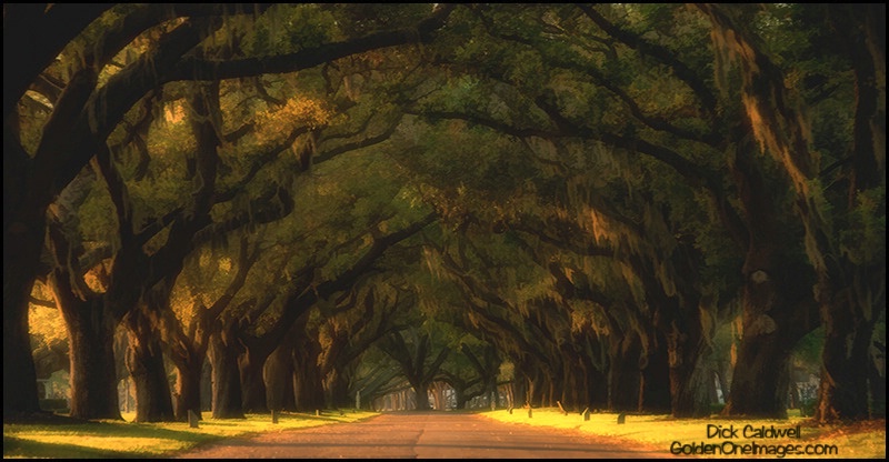 Bay Pines National Cemetery, St Petersburg