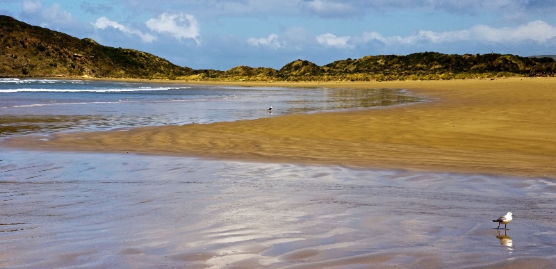 Cannibal Bay, Catlins