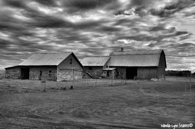 Weathered Barns