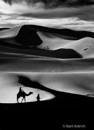 Dune Crossing