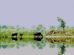 Reflection
