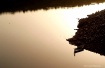 Reflection