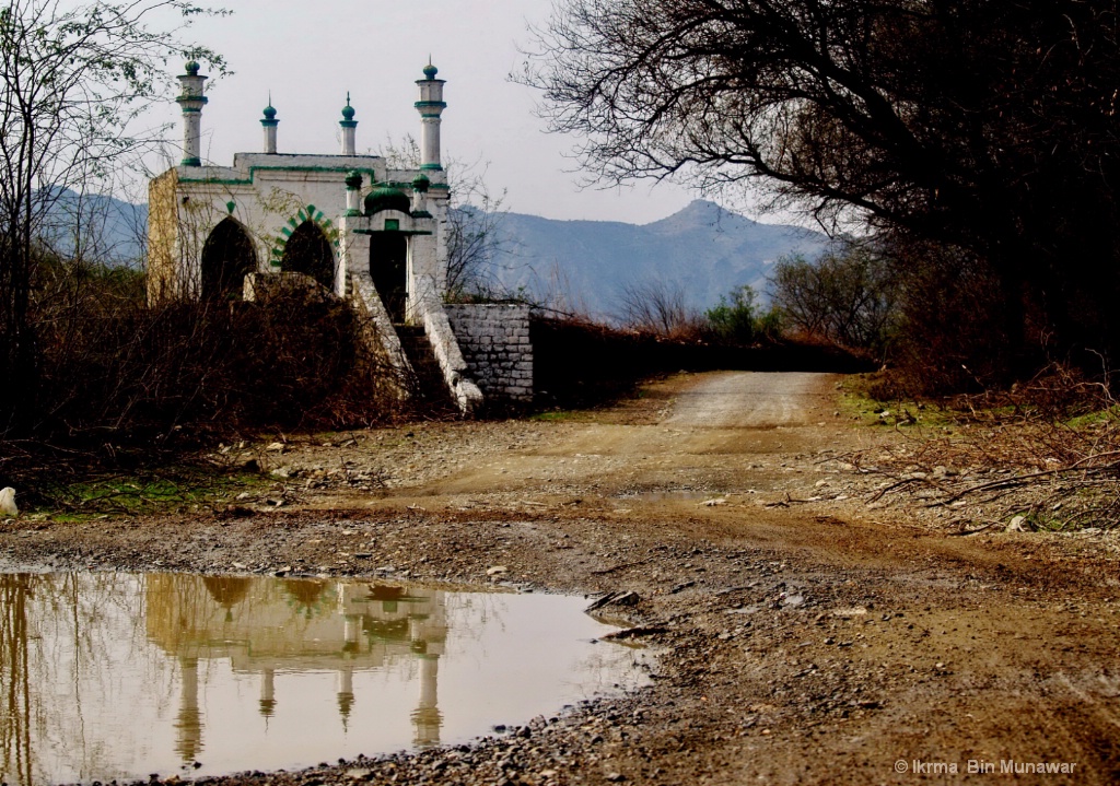 Mosque Reflection