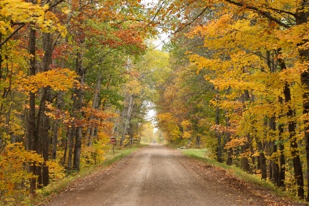 Autumn Drive