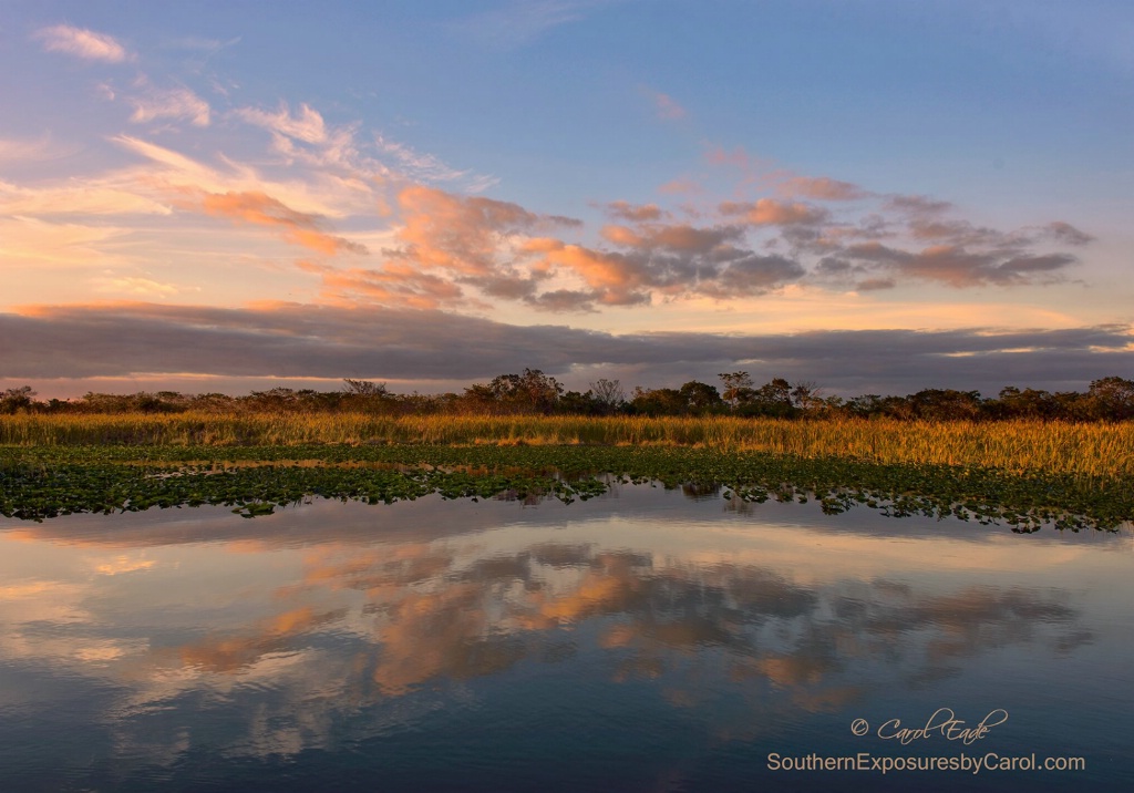 The Glades - ID: 15118286 © Carol Eade