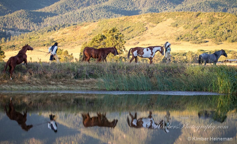 Scout Reflection