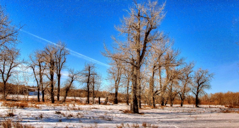 Air trail, with hoarfrost trees and air