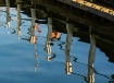 Reflection of a d...