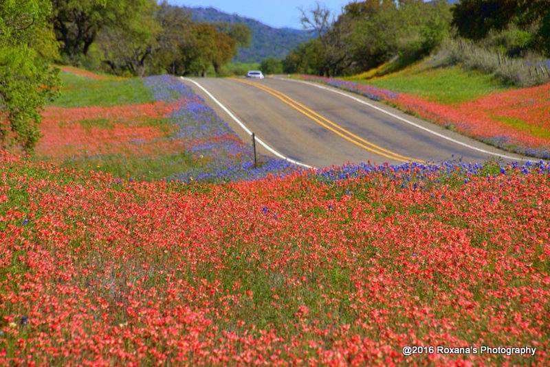 Spring in Texas