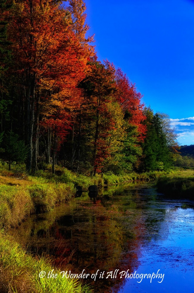 Fall on the Black Water River 