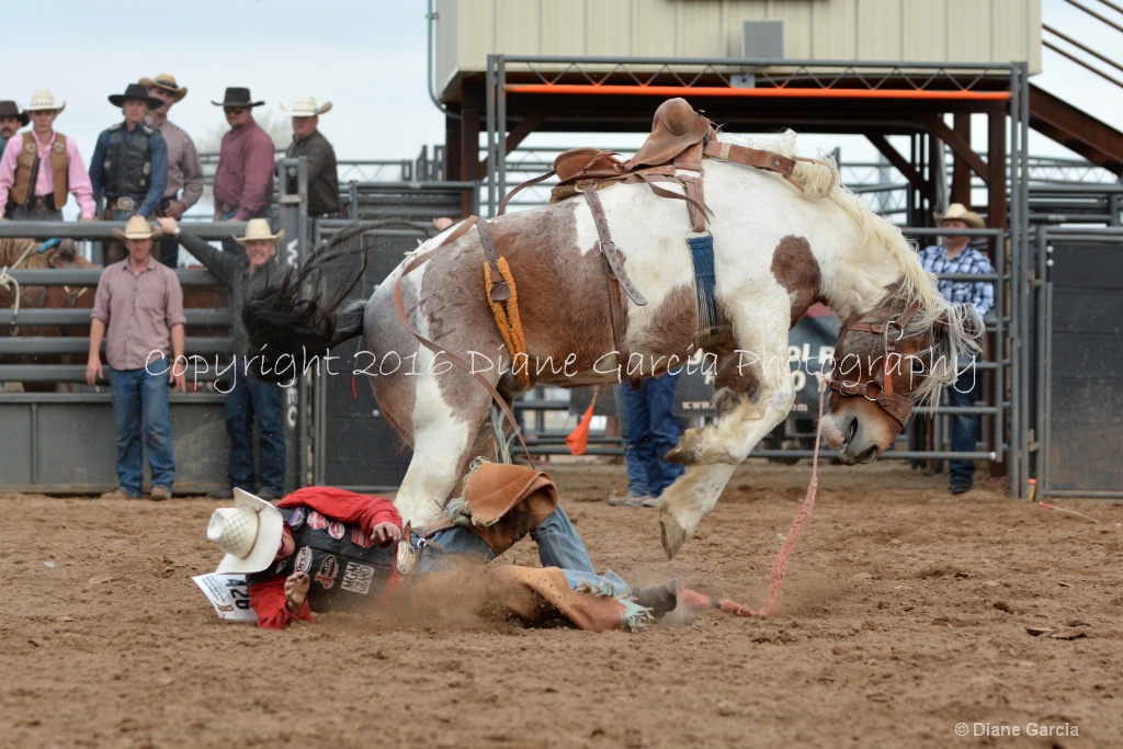 Austin Davis UHS P16 9.JPG - ID: 15119719 © Diane Garcia