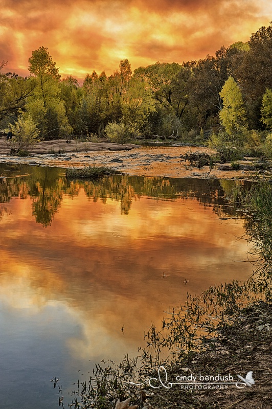 Oak Creek