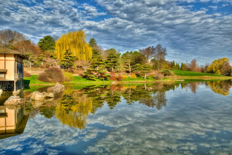 Japanese Garden Reflections