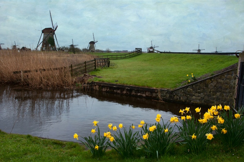 Windmills in Kinderdijk in the Netherlands