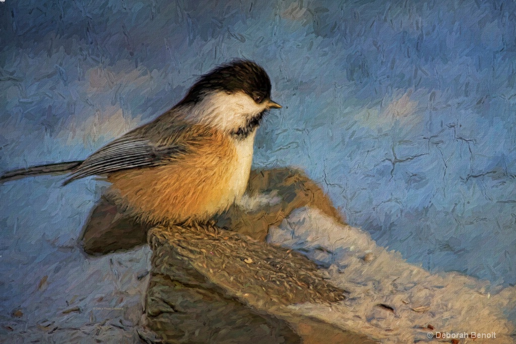 Chickadee Winter Perch