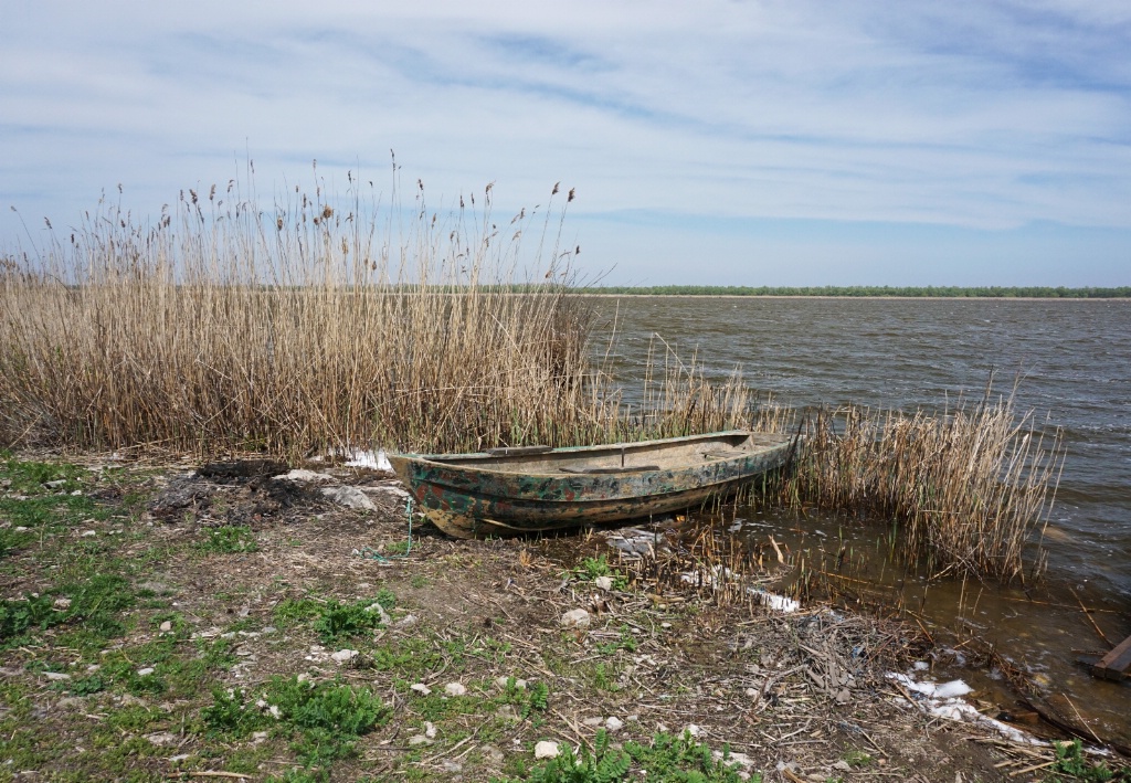 Danube Delta landscape