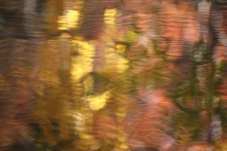 Autumn foliage reflections